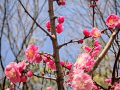 -世纪公园-世纪春沁园