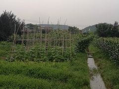 -呼吸森林·生态农庄农家乐私房菜