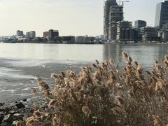 -上海山野camping·户外天幕烧烤·团建拓展营地