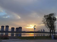 -九龙湖公园