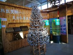 -北京鹿世界主题园