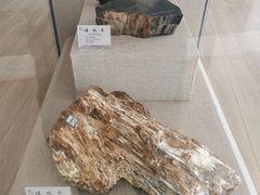 -延庆地质公园博物馆
