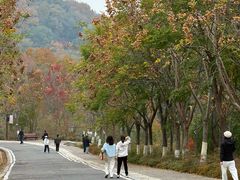 -南京市江宁方山