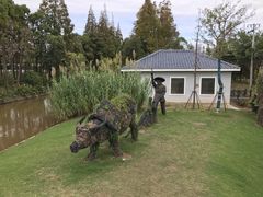 -上海长兴岛郊野公园