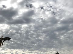 -必胜客(花舞大唐博物馆店)