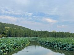 -云龙湖旅游景区