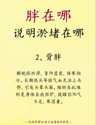 -Fundi张玉珊修身堂·indiba·BTL科技瘦身