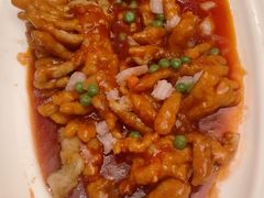 -泰康之家·申园