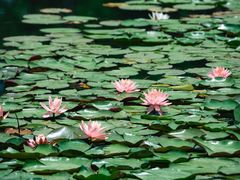 -白鹭湾湿地公园