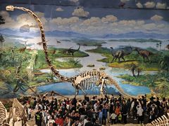 -自贡恐龙博物馆