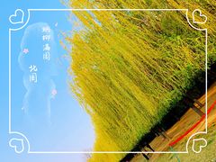 -临汾涝洰河生态公园