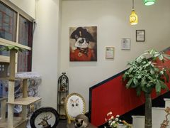 -猫小院猫主题餐厅(南锣旗舰店)