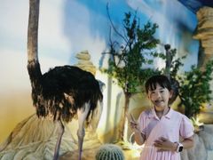 -西霞口神雕山野生动物世界