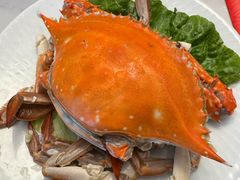 -好礼家海鲜•海肠捞饭大王(金沙滩念慈别墅店)