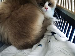 -达爱动物医院·犬猫分区·CT·复杂眼科(远洋山水分院)