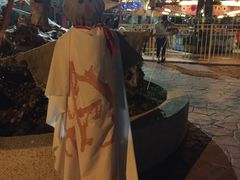 -巨鹏飞梦幻海岸