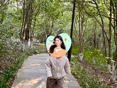 -杭州半山国家森林公园