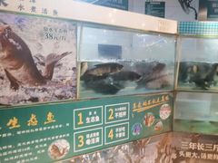 -老傅家湘潭水煮活鱼店(众一国际店)