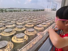 -厨邦酱油文化博览馆