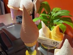 -野人先生现做冰淇淋(北京王府井东方新天地店)