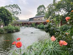 -大门水乡·顺德菜