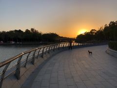 -南翔镇银翔湖公园