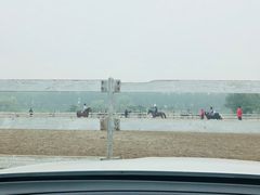 -月河湾马术俱乐部(朝阳店)