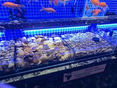 -五月罗马海鲜烤肉自助餐厅(印象城店)