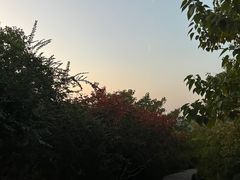 -佛慧山