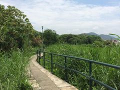 -南丫岛