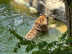 -大连森林动物园