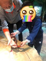 -酷嗒动物文化乐园(cutezoo西溪乐天城店)