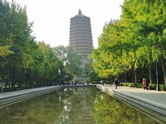 -玲珑塔公园