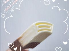 -钟薛高(南头古城店)