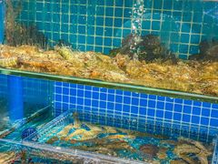 -良师门滨海人家·海鲜·家常菜(滨海城店)