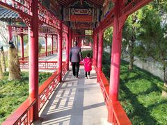 -广富林郊野公园