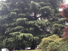 -复旦大学光华楼