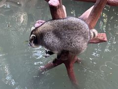 -长鹿旅游休博园