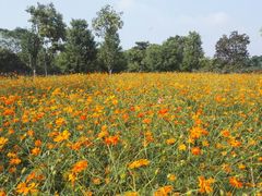 -艾溪湖湿地公园