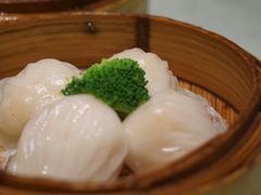 -南枝记