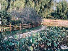 -燕郊植物园