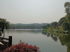 -枫香湖儿童公园
