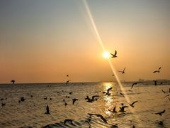 -老虎石海上公园