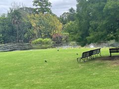 -墨尔本皇家植物园