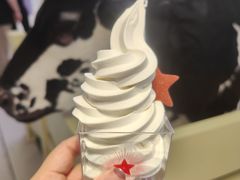 冰淇淋-红星前进面包牛奶公司(君太店)