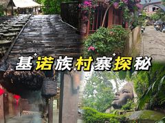 -西双版纳基诺山寨