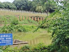 -松山湖梦幻百花洲