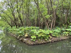 -同里国家湿地公园