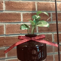 -时尚殿堂·颜SPA