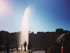 -哈尔滨文化公园